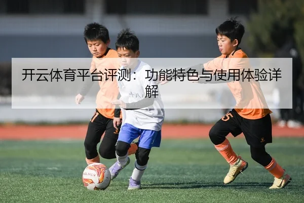 开云体育平台评测：功能特色与使用体验详解