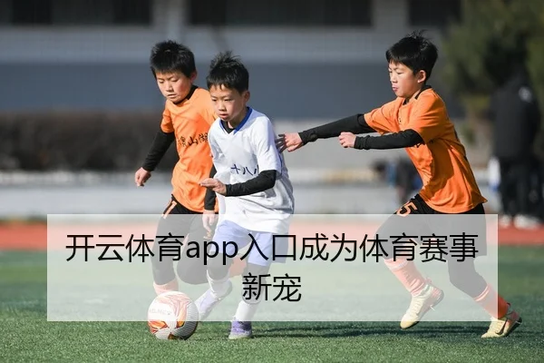 开云体育app入口成为体育赛事新宠